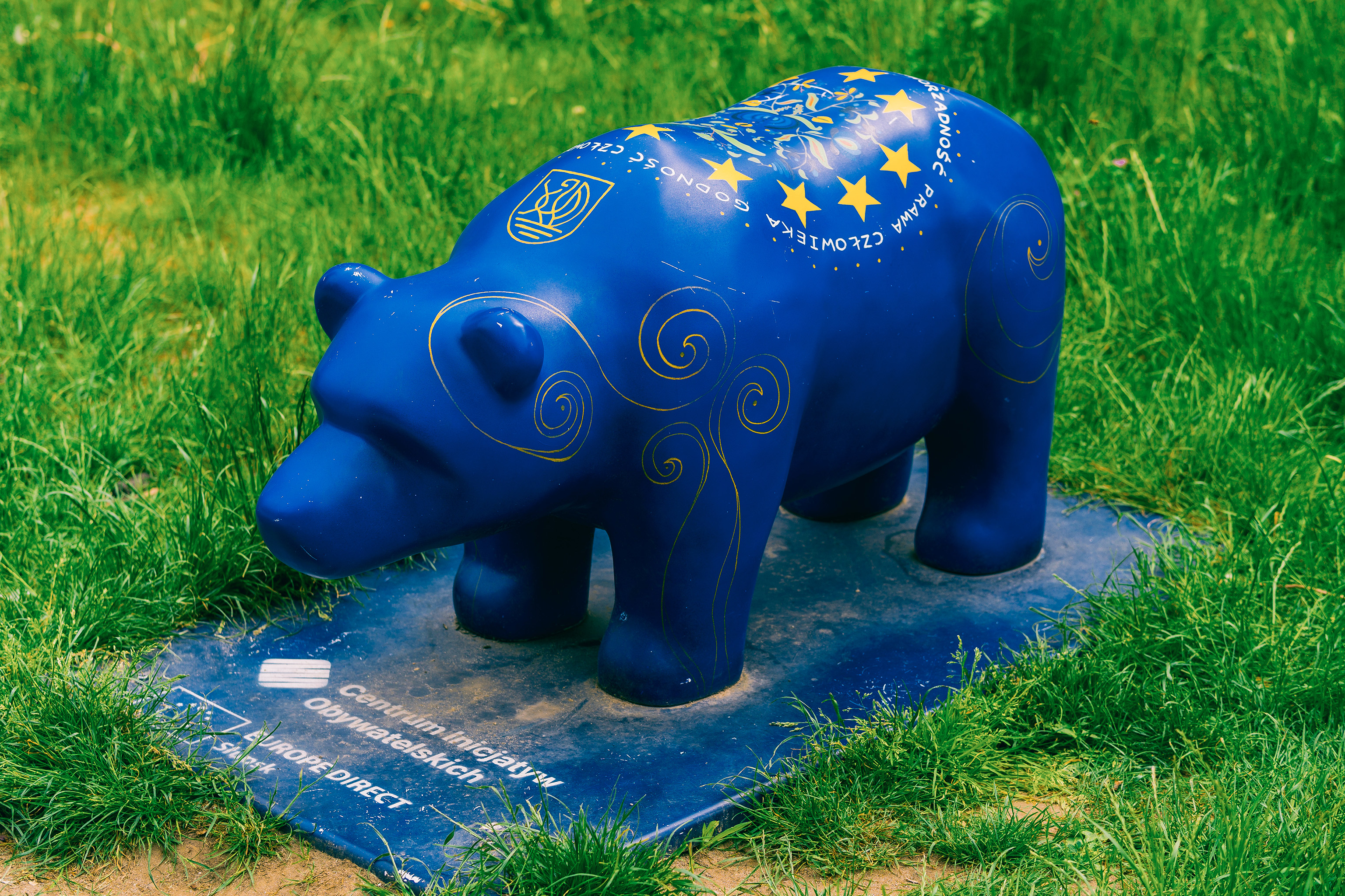 Niedźwiadek Europejski