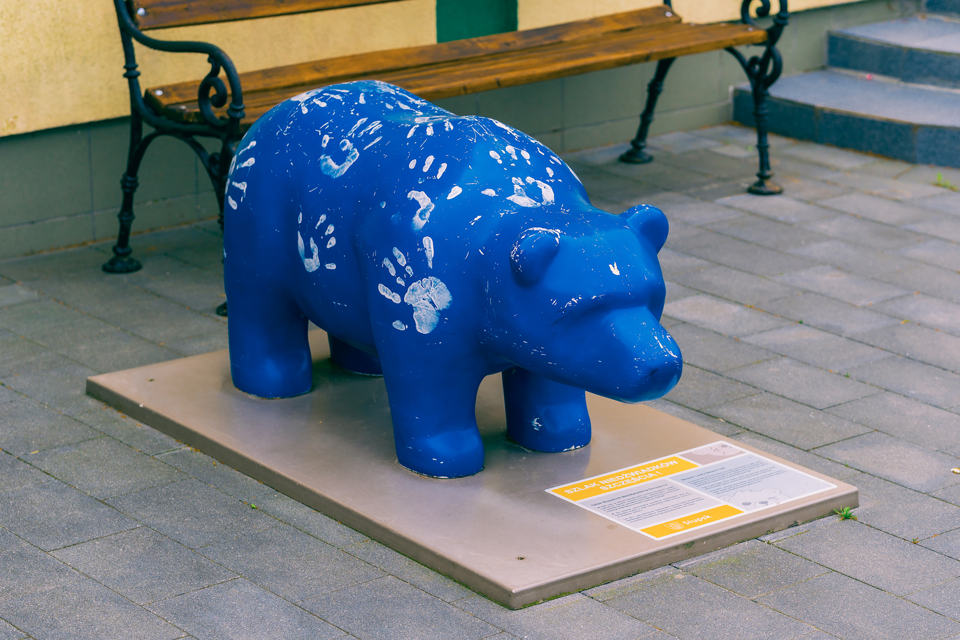 Niedźwiadek Gryfitów – fotografia 3