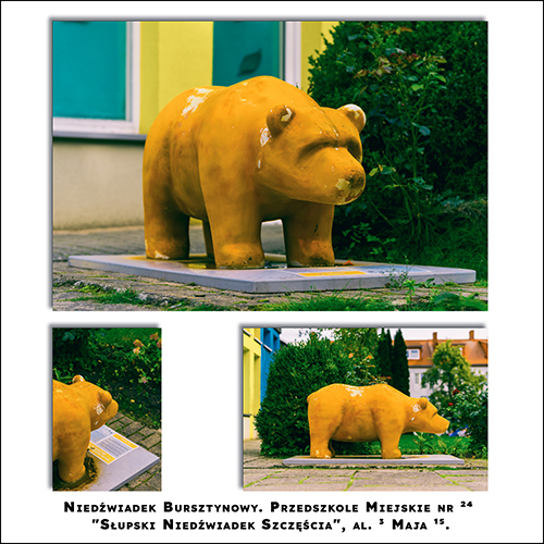 Niedźwiadek Bursztynowy