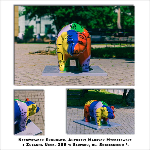 Niedźwiadek Ekonomik