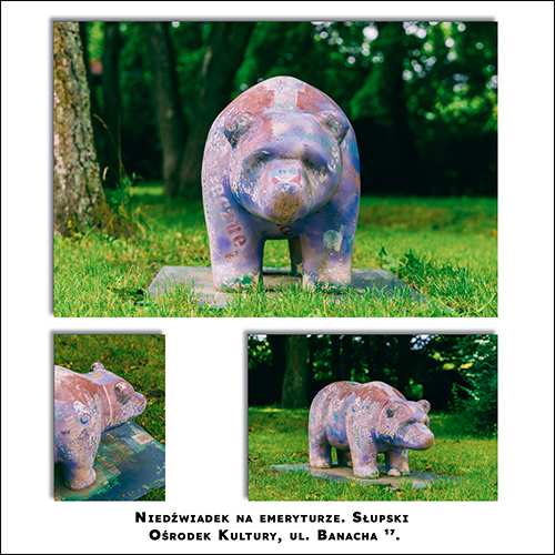 Niedźwiadek Emeryt SOK