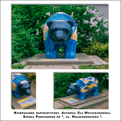 Niedźwiadek Marynistyczny