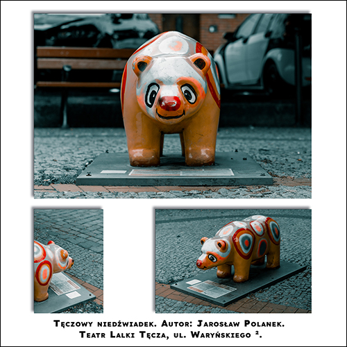 Niedźwiadek Tęczowy