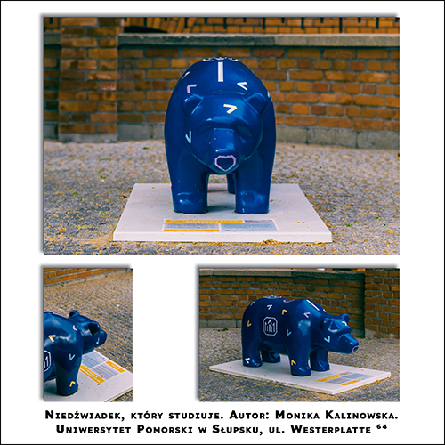 Niedźwiadek Uniwersytecki