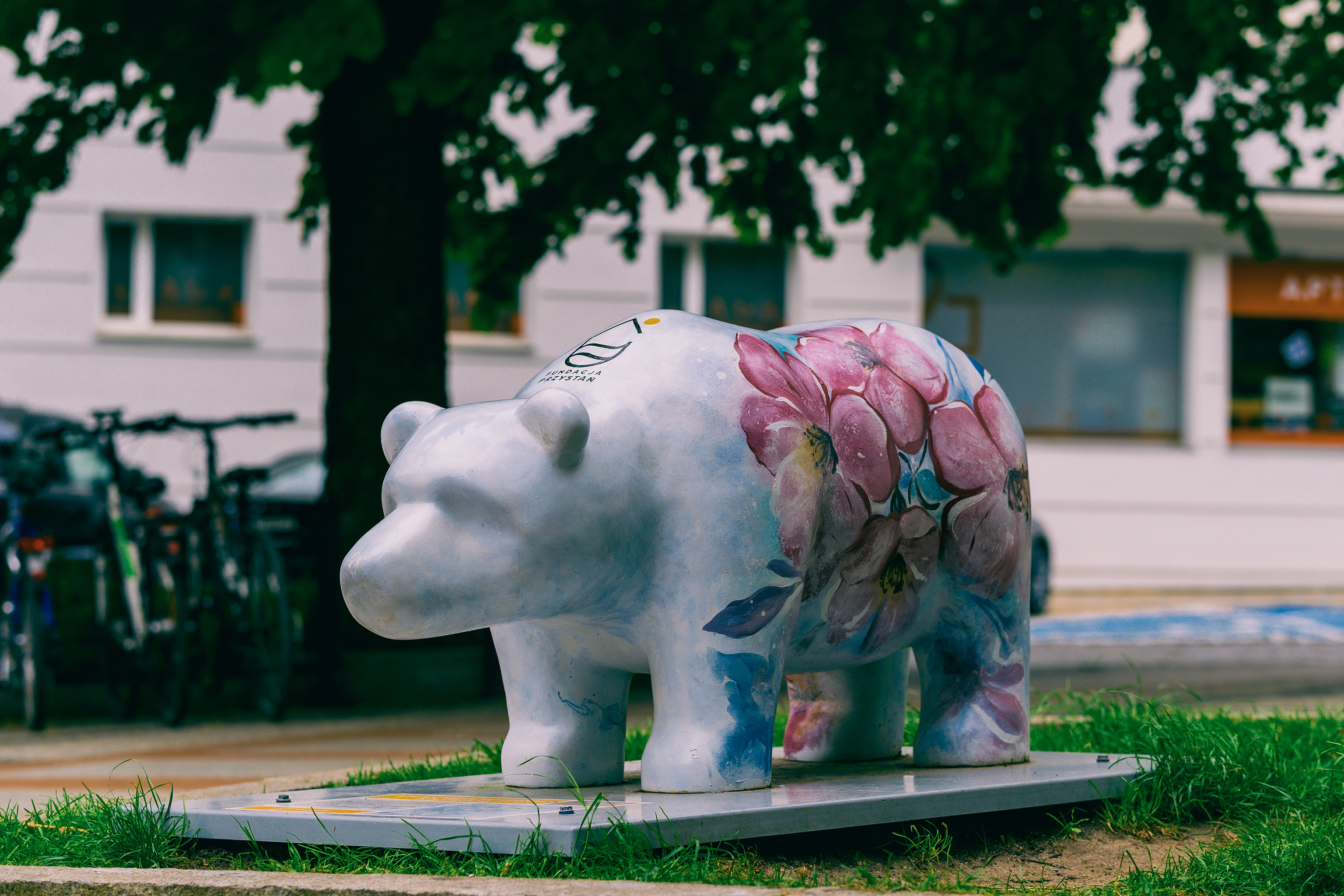 Niedźwiadek Fundacji Przystań – fotografia 3