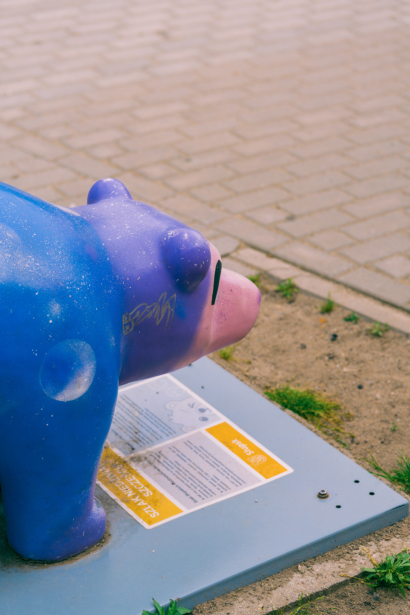 Niedźwiadek Słów – fotografia 3
