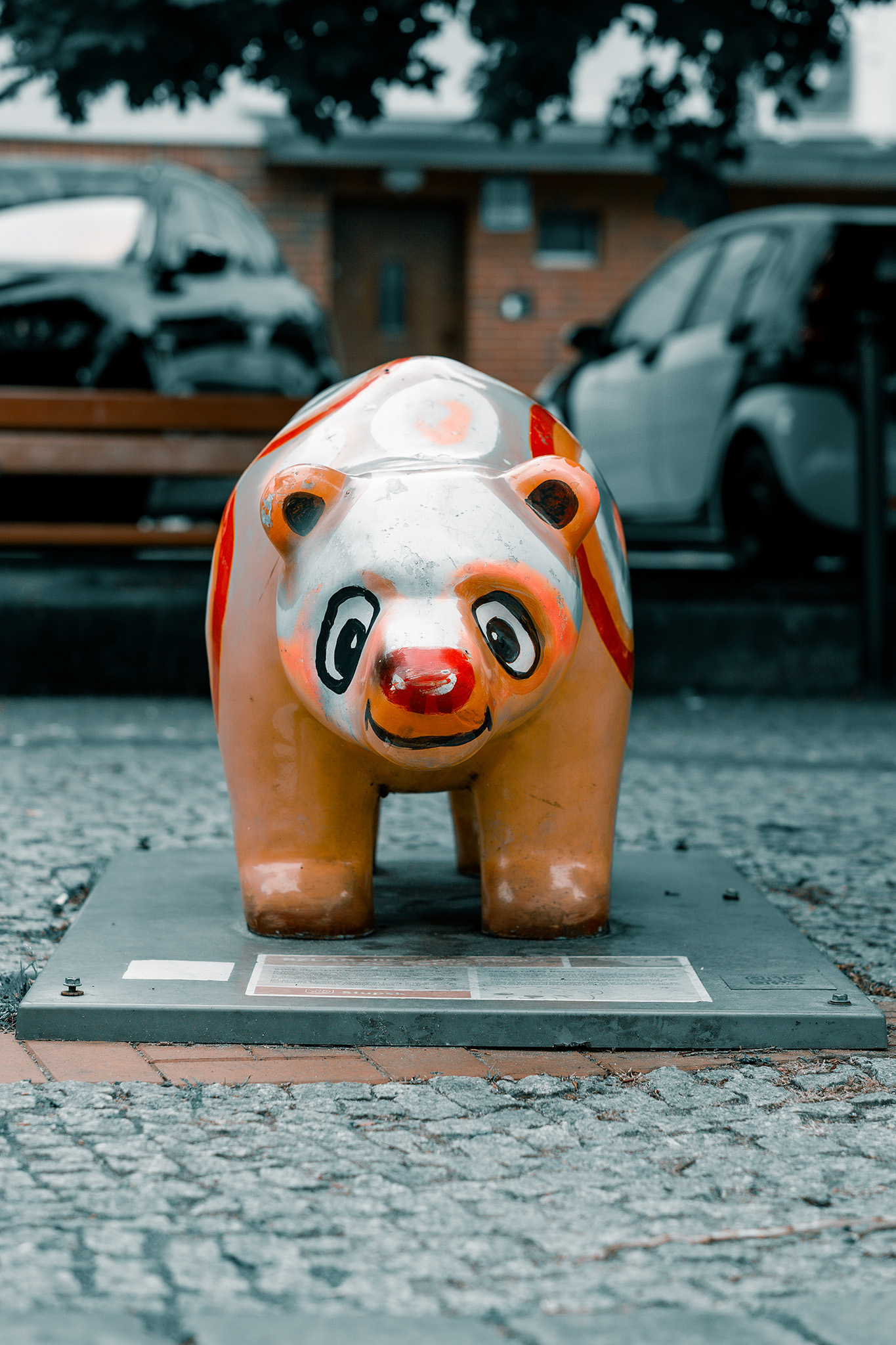 Niedźwiadek Tęczowy – fotografia 3